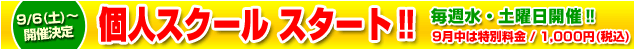 �l�X�N�[���X�^�[�g�I���T���E�y�j���J��