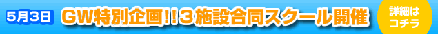 �S�[���f���E�B�[�N